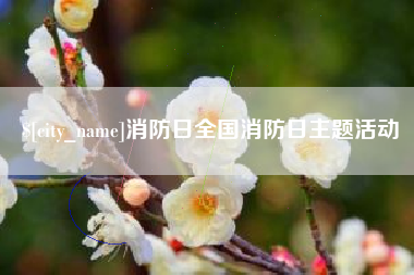 襄阳消防日全国消防日主题活动