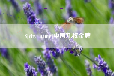 襄阳中国九枚金牌