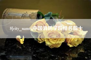 襄阳中国消防学院排名前十