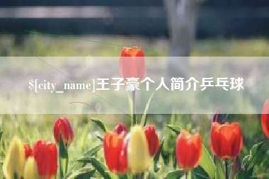 襄阳王子豪个人简介乒乓球