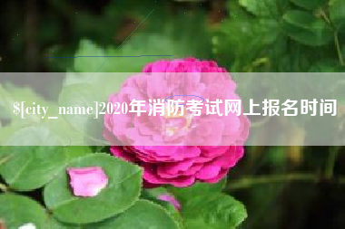 襄阳2020年消防考试网上报名时间