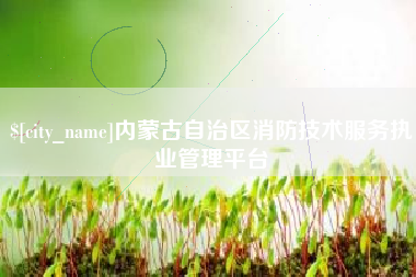 襄阳内蒙古自治区消防技术服务执业管理平台