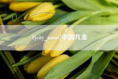 襄阳中国九金