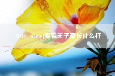 襄阳看看王子豪长什么样