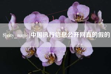 襄阳中国执行信息公开网真的假的