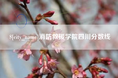 襄阳消防救援学院四川分数线