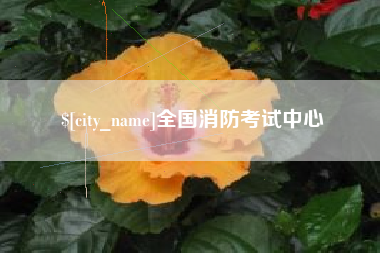 襄阳全国消防考试中心