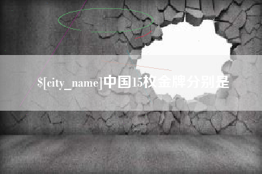 襄阳中国15枚金牌分别是