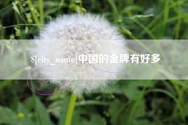襄阳中国的金牌有好多