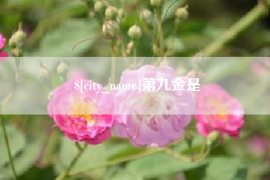 襄阳第九金是