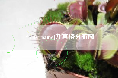 襄阳九宫格分布图