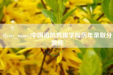 襄阳中国消防救援学院历年录取分数线