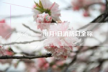襄阳11月9日消防日全称