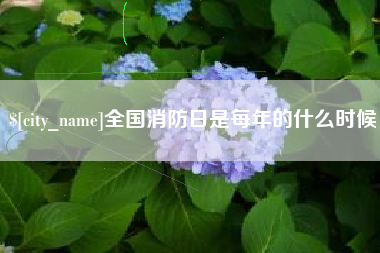 襄阳全国消防日是每年的什么时候