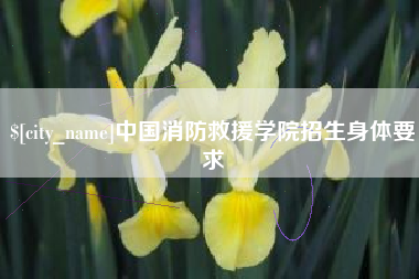 襄阳中国消防救援学院招生身体要求