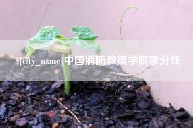 襄阳中国消防救援学院录分线