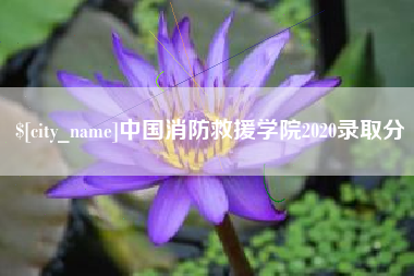 襄阳中国消防救援学院2020录取分