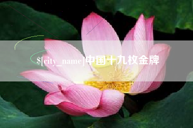襄阳中国十九枚金牌