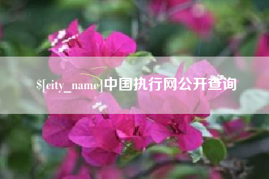 襄阳中国执行网公开查询