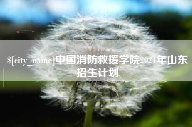 襄阳中国消防救援学院2021年山东招生计划