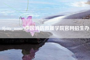 襄阳中国消防救援学院官网招生办