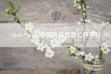 襄阳中国执行信息公开平台