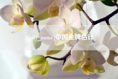 襄阳中国金牌估计
