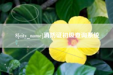 襄阳消防证初级查询系统