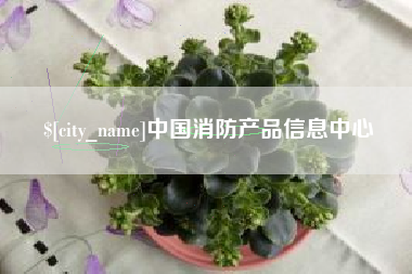 襄阳中国消防产品信息中心