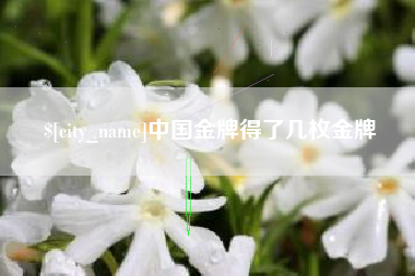 襄阳中国金牌得了几枚金牌