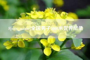 襄阳全国男子5000米世界纪录