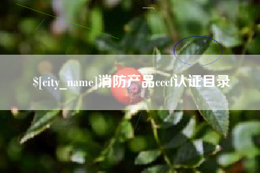襄阳消防产品cccf认证目录