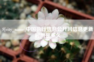 襄阳中国执行信息公开网信息更新时间是多久