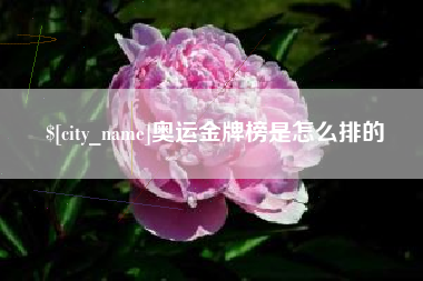 襄阳奥运金牌榜是怎么排的