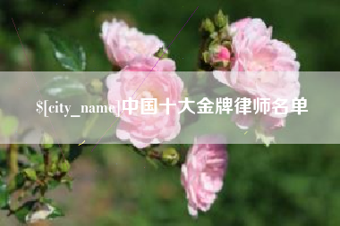襄阳中国十大金牌律师名单