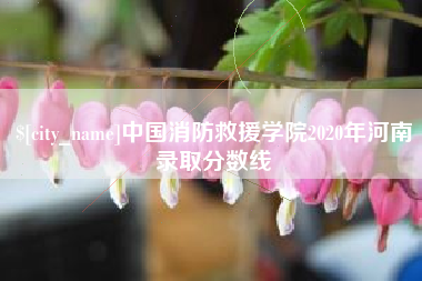 襄阳中国消防救援学院2020年河南录取分数线