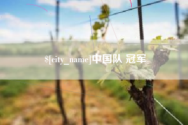 襄阳中国队 冠军