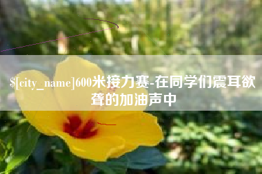 襄阳600米接力赛-在同学们震耳欲聋的加油声中