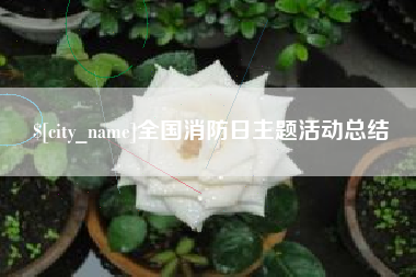 襄阳全国消防日主题活动总结
