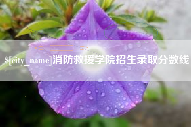 襄阳消防救援学院招生录取分数线