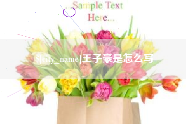 襄阳王子豪是怎么写