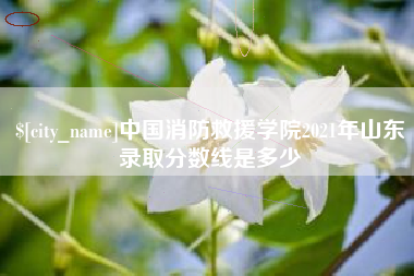 襄阳中国消防救援学院2021年山东录取分数线是多少
