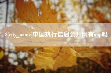 襄阳中国执行信息公开网有app吗