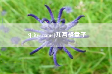 襄阳九宫格盘子