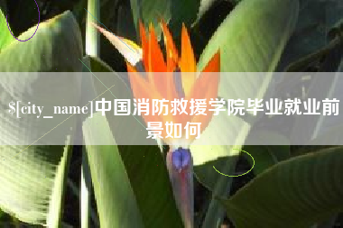 襄阳中国消防救援学院毕业就业前景如何
