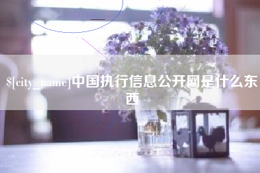 襄阳中国执行信息公开网是什么东西