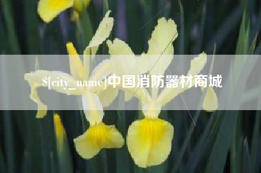 襄阳中国消防器材商城