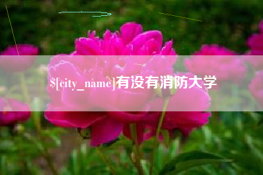 襄阳有没有消防大学
