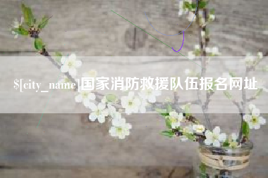 襄阳国家消防救援队伍报名网址