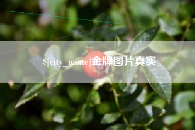 襄阳金牌图片真实